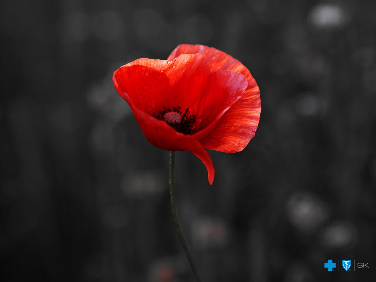 Saskatchewan Blue Cross tweet media