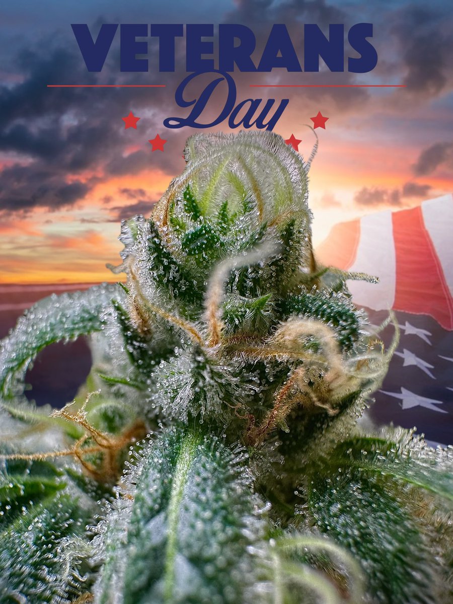 Today we celebrate and honor America’s veterans for their patriotism,love of country and willingness to serve and sacrifice for the common good.
Veterans Day is a time for us to pay our respects to those who have served.For one day,we stand united in respect for you,our veterans.