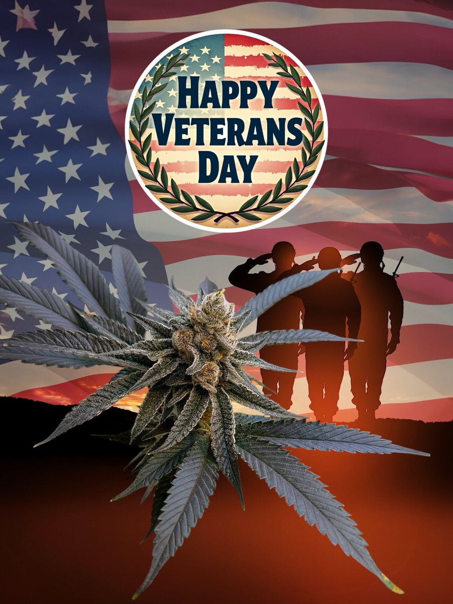freegrow8's tweet photo. Today we celebrate and honor America’s veterans for their patriotism,love of country and willingness to serve and sacrifice for the common good.
Veterans Day is a time for us to pay our respects to those who have served.For one day,we stand united in respect for you,our veterans. https://t.co/4X3rnegksU