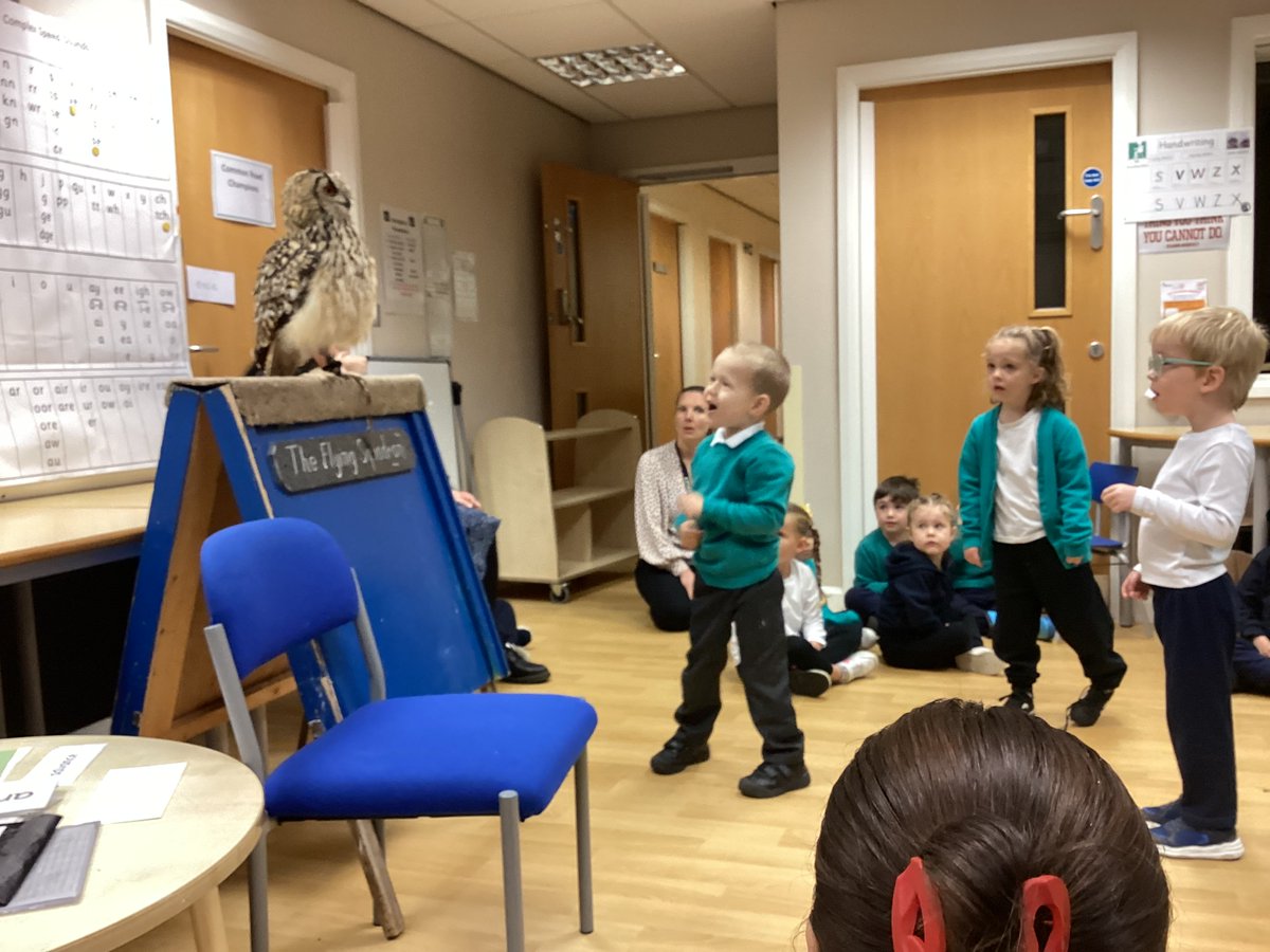 RoadInfant's tweet photo. As part of our ‘Magic of Stories’ sessions, we had a whole school focus on ‘Owl Babies’. Four different owls came to visit us and we even got to see one of them swooping! It was a wonderful experience for all of our children. 
#magicofstories #bringingstoriestolife https://t.co/RJYsiG07C5