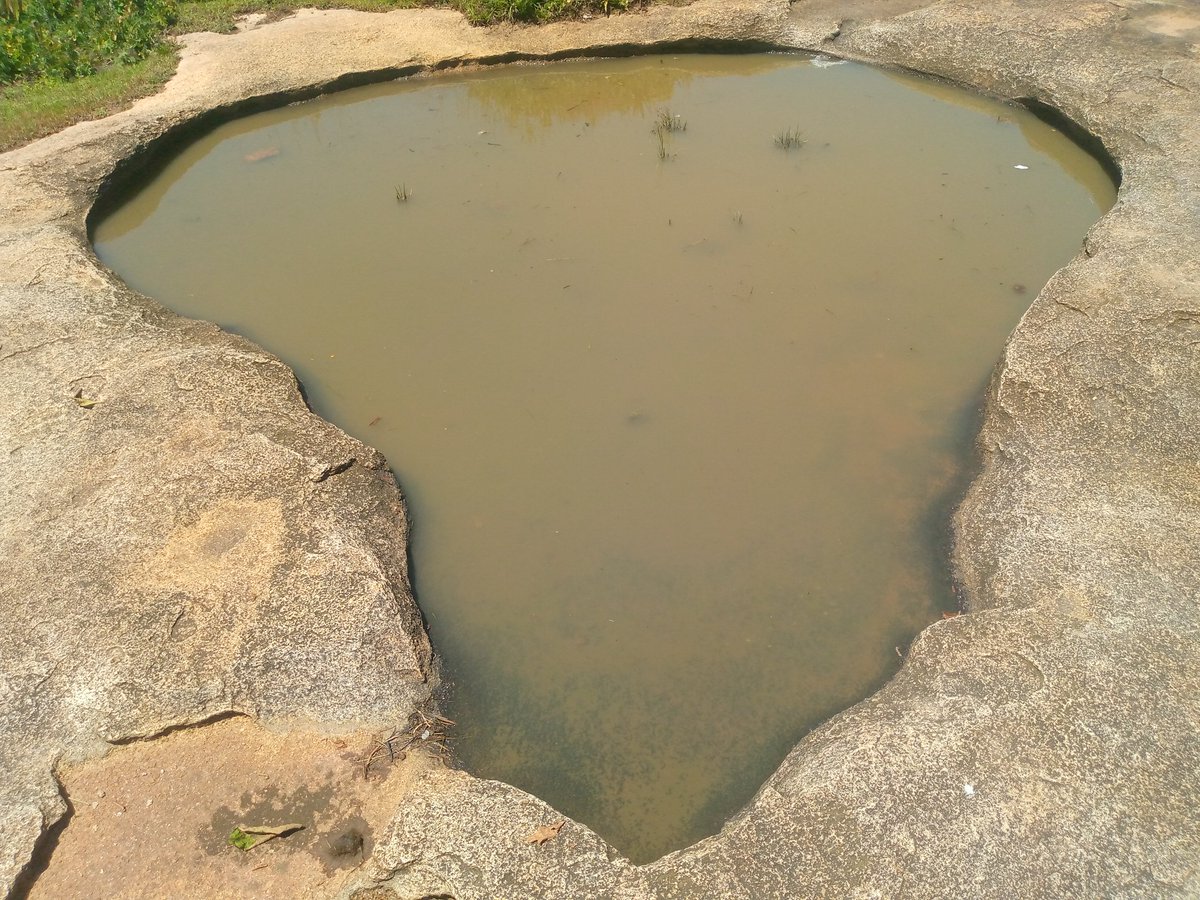 Simon__Wandera's tweet photo. The spectacular view of African Water Pothole at Bitobo Hill.
Bungoma County
#SpectacularLandscape
#MagicalKenya #TembeaKenya #TembeaKenyaPhotoContest
#CaptureTheMagic @magicalkenya https://t.co/rrmW3jKw13