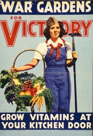 Roots_First_'s tweet photo. Can a wartime practice help the fight for food security today?

During WWII, Americans grew nearly 40% of their vegetables in "Victory Gardens."

These gardens were built in yards and:
• Parks
• Vacant lots
• School grounds

Victory Gardens freed up agricultural resources for the war and reduced labour shortages.

They were also incredibly productive:

• In 1939: $200 million worth of vegetables grown
• By 1944: 18.5 million people joined the effort
• 1944:  Gardens grew 40% of US veggies
• By 1945: Gardens produced 8 to 10 million tons

These home and community gardens helped address food shortages during the war.

They also:
• Boosted morale
• Improved health & nutrition
• Encouraged self-sufficiency
• Brought communities together

The majority of the 18+ million gardeners were new. But, they created a support system with experienced gardeners to keep morale (and productivity) high.

There was a role for everyone - those unable to garden helped preserve produce, and deliver flowers to hospitals.

The "Victory Gardens" were a testament to community coming together towards a common goal.

They also made a tangible impact on a country's food supply.

👉🏾 Can gardens help in today's fight against food insecurity?
--
♻️ Reshare if this resonates!

Source: https://t.co/we3iLv6RDD

Image credit: National Library of Congress
Title: War gardens for victory--Grow vitamins at your kitchen door / lithographed by the Stecher-Traung Lithograph Corporation, Rochester, New York.
Date Created/Published: c.1939 and 1945
Link: https://t.co/r6OugWTO0X

#victorygardens #rememberanceday #lestweforget #foodsecurity #foodinsecurity #health #community #communitydevelopment #longevity #foodsystems #foodjustice #foodsovereignty #localfood #eatlocal #farmersmarket