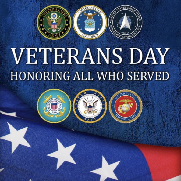 styles321's tweet image. Honoring the Veterans 🙏🏾🇺🇸 #VeteransDay