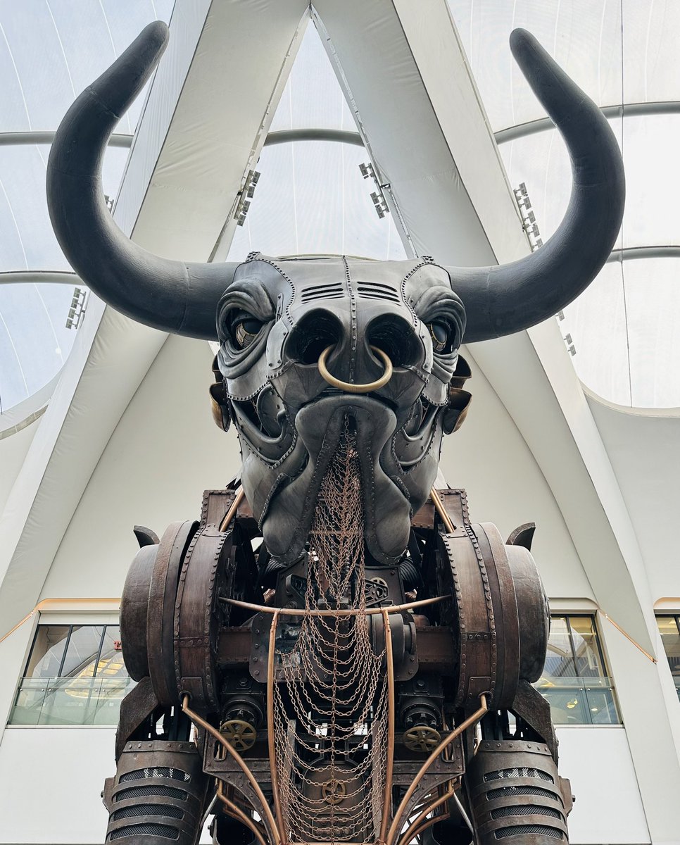 Hello Bull… #cryptocurrency #Swissborg💚 #BORG #bullrun 🚀🙏🏼✌🏼