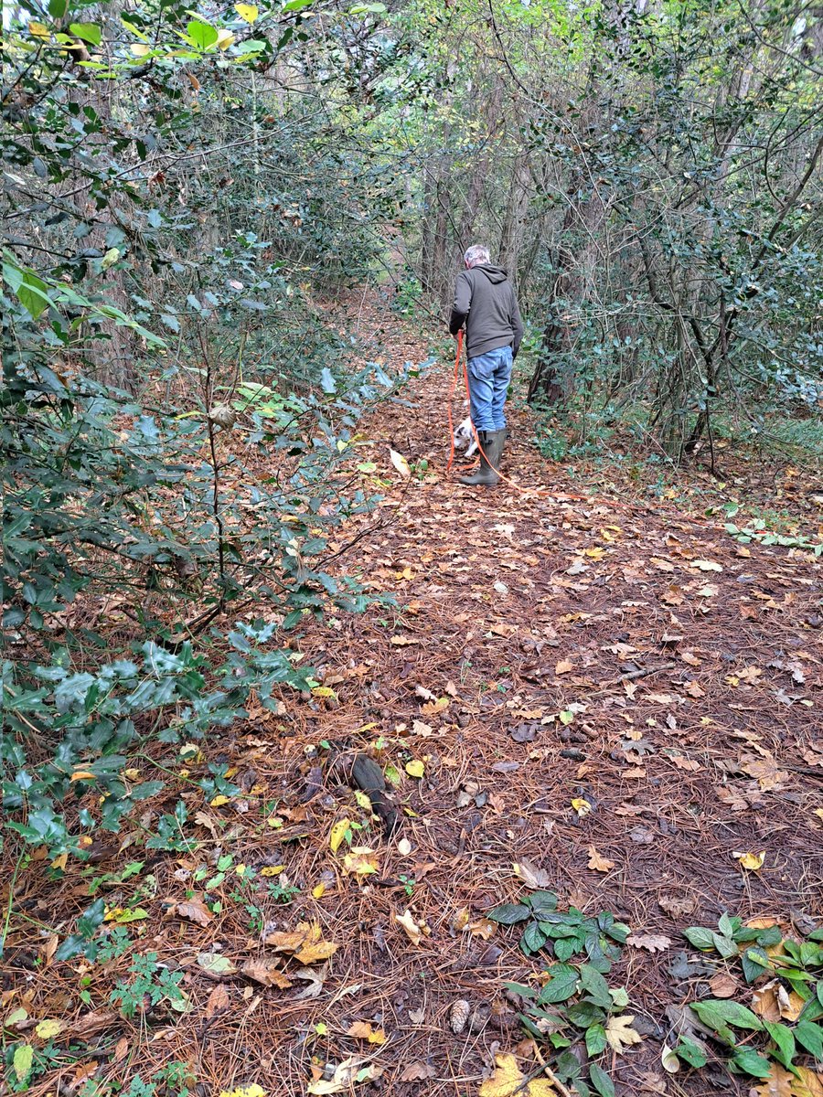 marjanna v.d. meulen tweet media