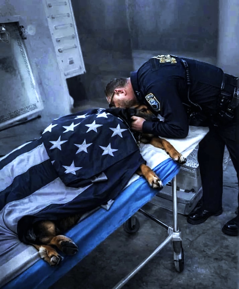 Please don't swipe past without sending him some love and prayer 🥹 ❤