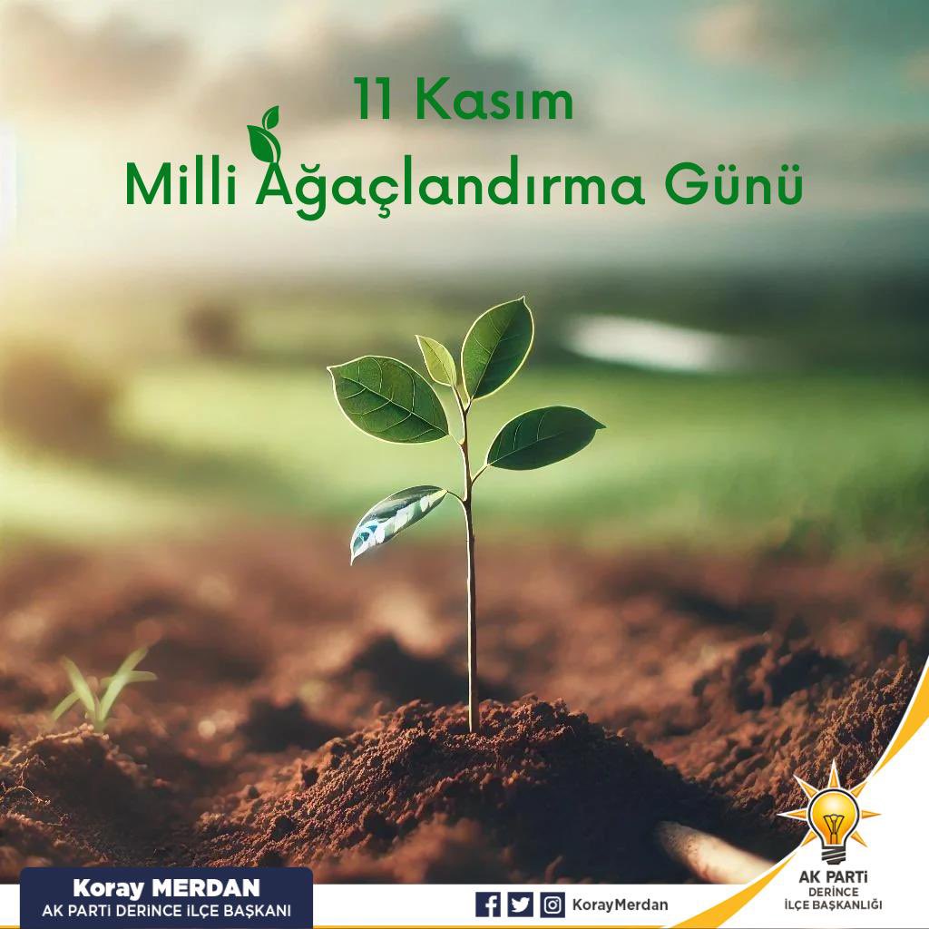 KorayMerdan's tweet photo. Bugün fidanları toprakla, umutları yarınla buluşturma günü. 11 Kasım #MilliAğaçlandırmaGünü’müz kutlu olsun.

Yeşil vatanımıza dikilen her fidan #GeleceğeNefes, #İnsanlığaNefes olacak.🌱🌳♻️ https://t.co/JbqrUC7wMd