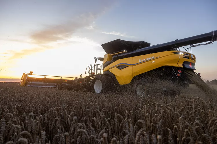 Innovation Farm tweet media