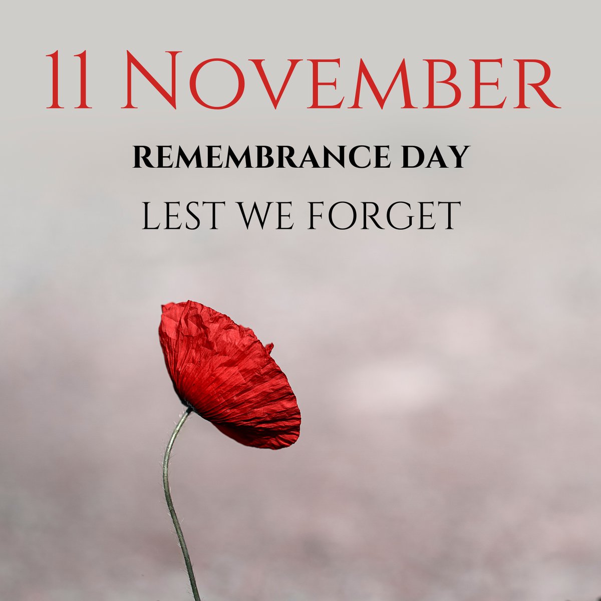 NSCFDC (@northsimcoecfdc) on Twitter photo On the 11th hour of the 11th day of the 11th month, we honour all lives lost in wars and conflicts, past and present. We are forever grateful. #lestweforget #RemembranceDay2024 <a href="/FedDevOntario/">FedDev Ontario</a> On the 11th hour of the 11th day of the 11th month, we honour all lives lost in wars and conflicts, past and present. We are forever grateful. #lestweforget #RemembranceDay2024 <a href="/FedDevOntario/">FedDev Ontario</a>