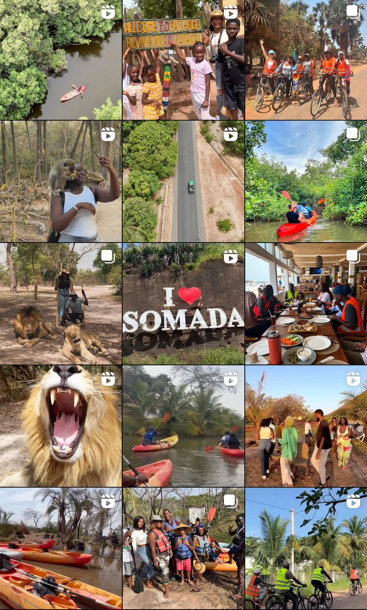 Adventure, Wildlife, and Good Times! Whether it’s kayaking through mangroves, cycling with friends, or getting up close with nature, every Cheap Trips experience is about unforgettable memories. Who’s ready for the next journey? 🌍🚴‍♂️🛶 #CheapTrippers