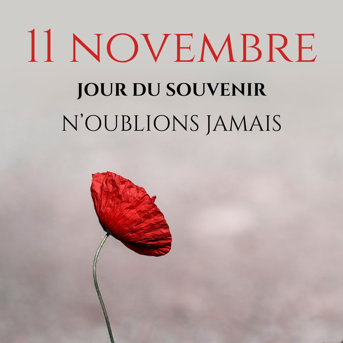NSCFDC (@northsimcoecfdc) on Twitter photo À la 11e heure du 11e jour du 11e mois, nous rendons hommage à toutes les vies perdues dans les guerres et les conflits, passés et présents. Nous sommes à jamais reconnaissants. #jourdusouvenir <a href="/FedDev_Ontario/">FedDev Ontario</a> À la 11e heure du 11e jour du 11e mois, nous rendons hommage à toutes les vies perdues dans les guerres et les conflits, passés et présents. Nous sommes à jamais reconnaissants. #jourdusouvenir <a href="/FedDev_Ontario/">FedDev Ontario</a>