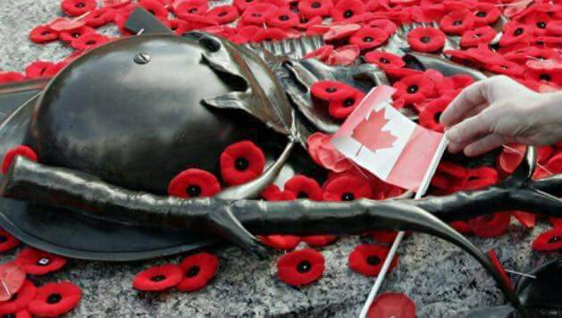 Gift of Life-Be A Donor (@beadonorontque) on Twitter photo 