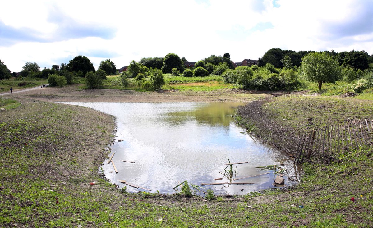 Sheff_HousingCo's tweet photo. #mondaymention 

We feel incredibly lucky to be based and working in a city that values its outdoor #greenspaces. 

It was a privilege to help develop this Sustainable urban Drainage Scheme (SuDS) in partnership with #GreenEstate, #Britcon and #SheffieldCityCouncil https://t.co/WSasSyixnw
