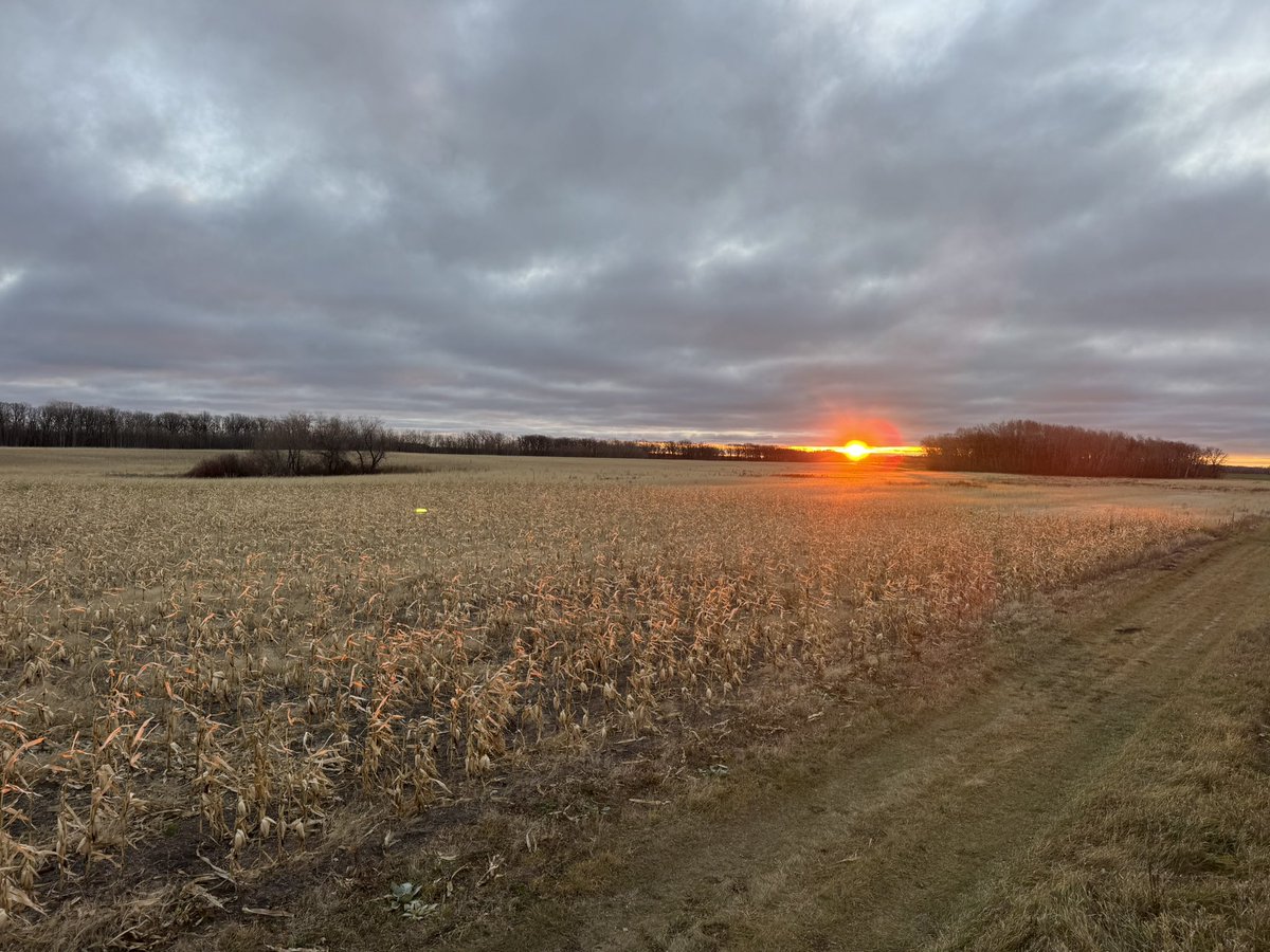 John Kriesel tweet media