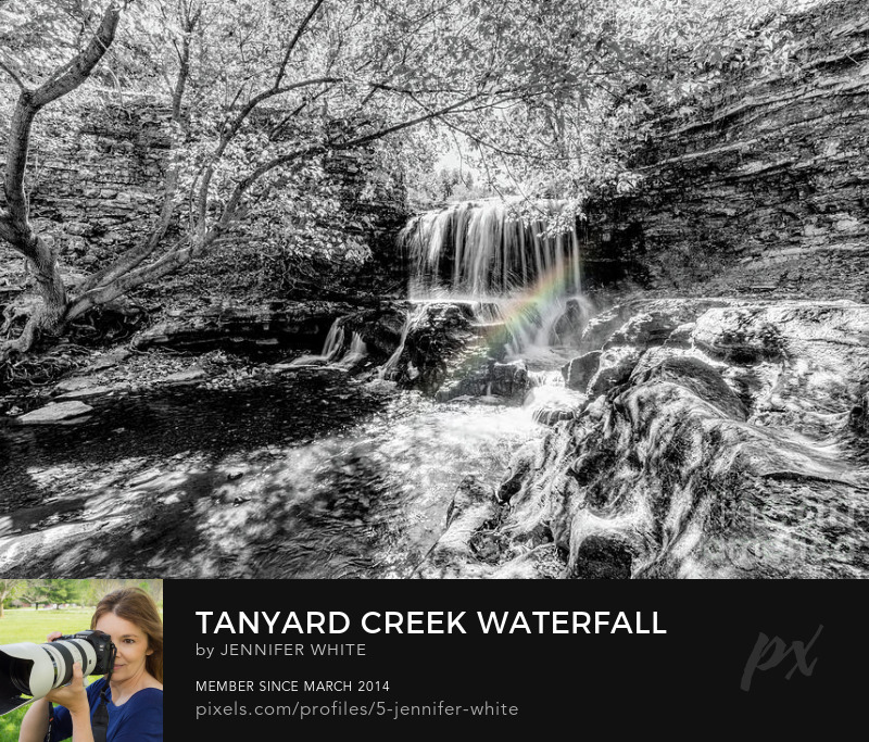 TMomPhotography's tweet image. A selective color photo with small rainbow shining through an area of mist towards the bottom of Tanyard Creek waterfall in Arkansas @FineArtAmerica 
5-jennifer-white.pixels.com/featured/tanya…
#buyintoart #selectivecolor #wallart #gifts #souvenirs