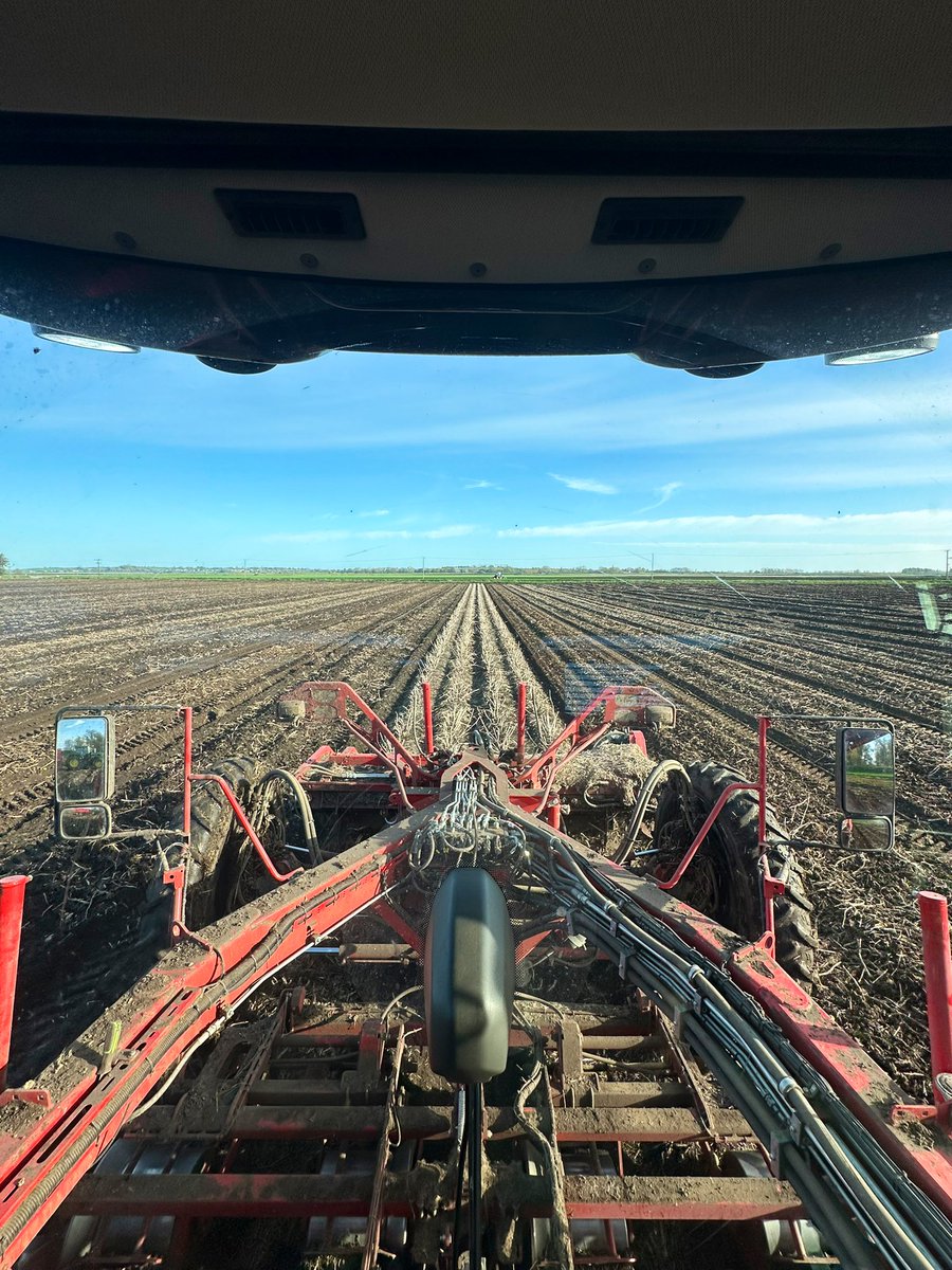 Oliver Dennis tweet media