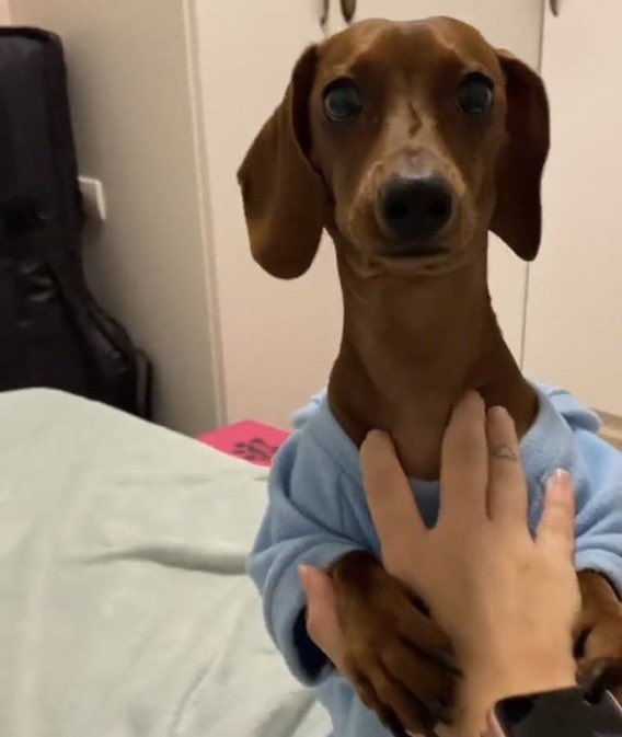 ester_studyy's tweet image. os professores tudo postando gabarito da prova, os estudantes tendo crise de ansiedade sendo que o Enem foi ontem??? CALMA GALERA