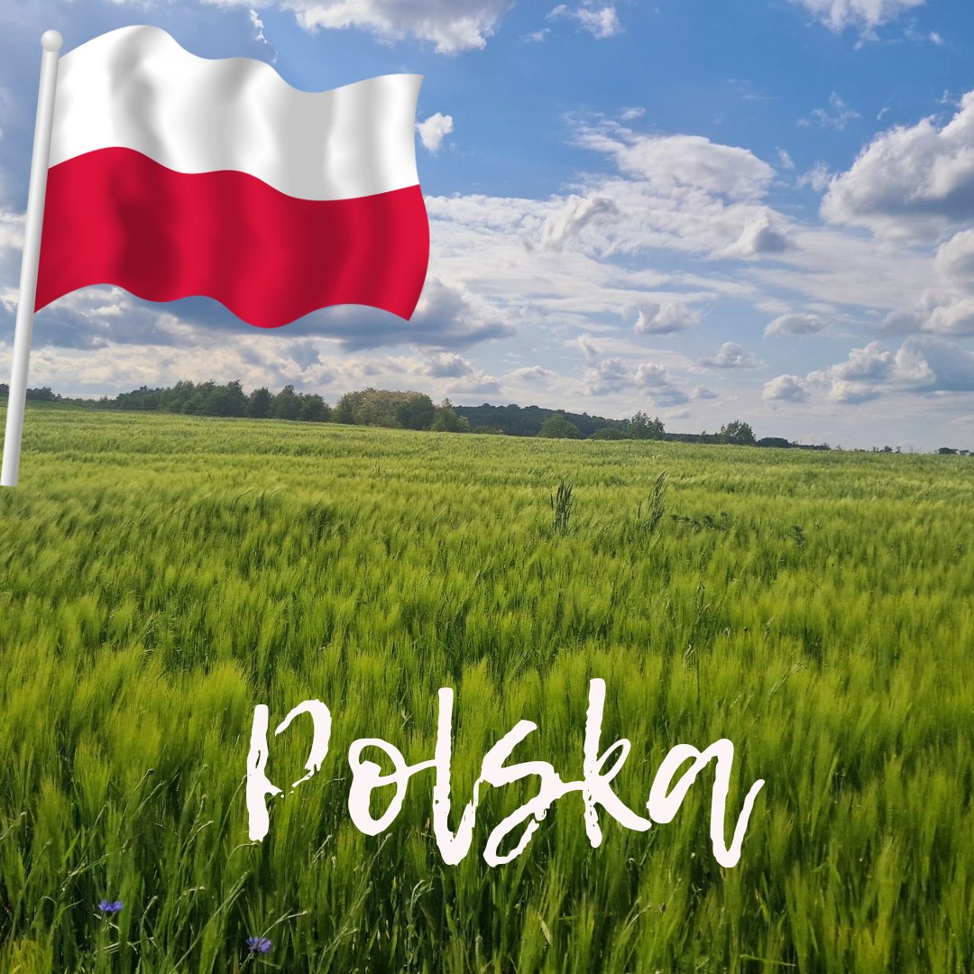 Małgorzata Kulesza tweet media