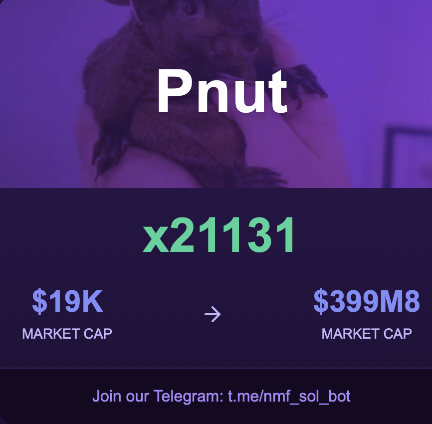 NMF SOL CALLS tweet media