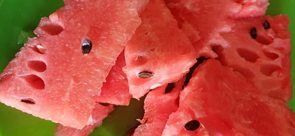 Summer settings in Zvimba! 
#watermelon 
#yardtofork 
#yardtotable 
#growwhatyoueat 
#Home
#kumba
#Zimbabwe
<a href="/JayNjii/">Jay Njii</a> <a href="/tacchitsaka/">Taurai Chitsaka</a>