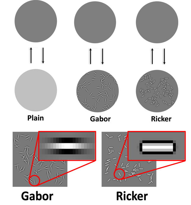 Simon Ladouce, PhD. tweet media