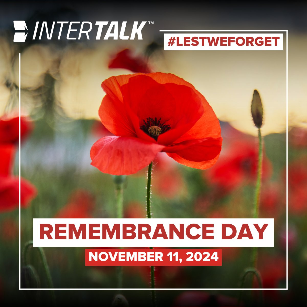 Today, we honor the heroes who've served and protected our nations. To all veterans and service members, past and present, thank you for your unwavering commitment and sacrifice. Lest we forget.

#lestweforget #heros #veteransday #remembranceday