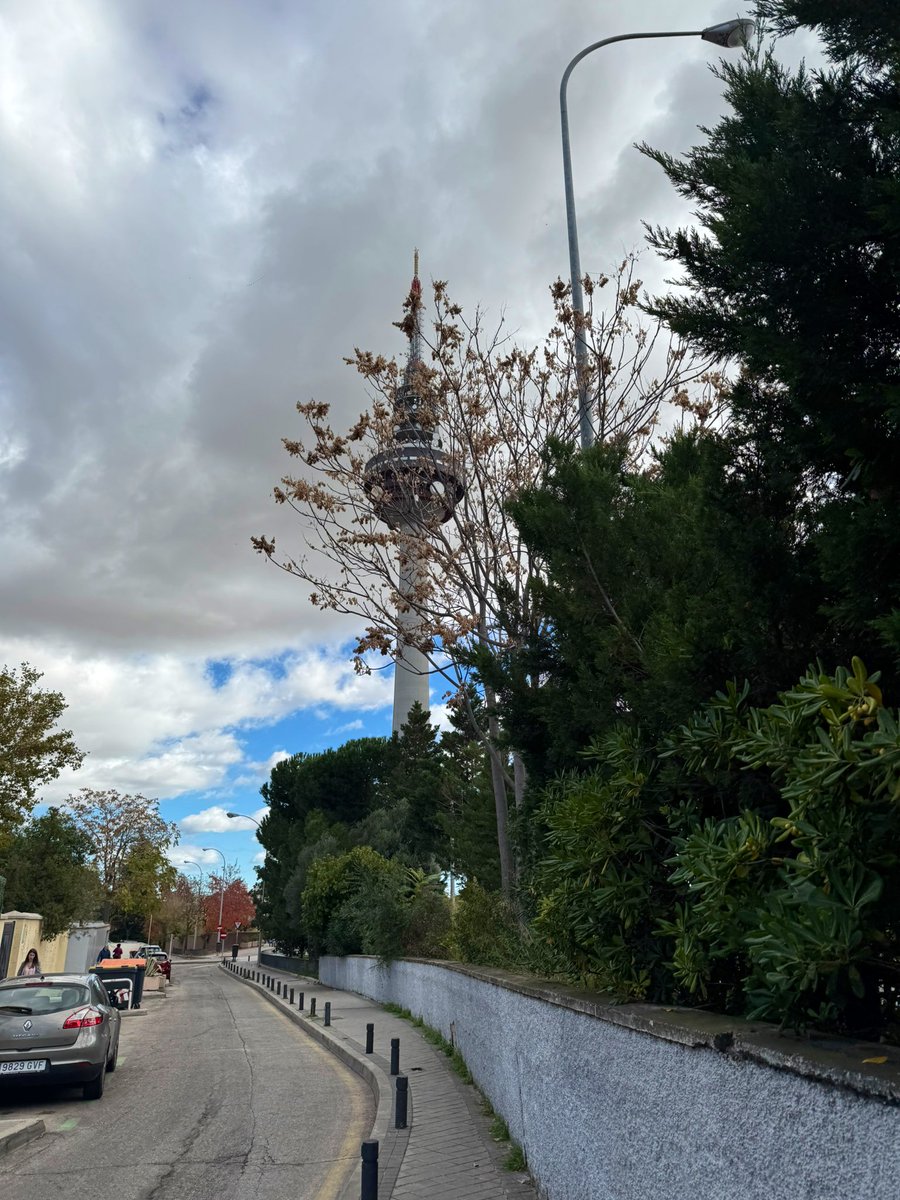 victorESC_udero's tweet image. Es que es ¡YA!
#JESC 🇪🇸 #LetsBloom 🌸