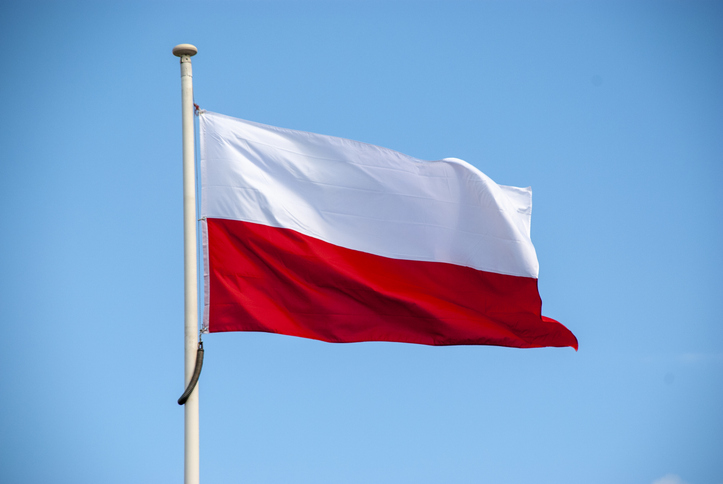 Happy Polish Independence Day! 🇵🇱 🇪🇺

Najlepsze życzenia dla Polski z okazji Dnia Niepodległości! Cyberbezpiecznego Święta!