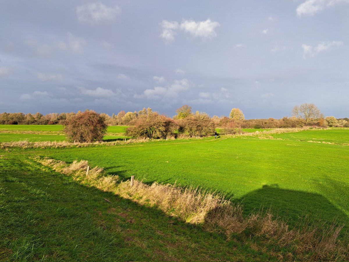 TheoJans1's tweet photo. Schitterende landschap, kleuren &amp; luchten.

Soms is veldwerk puur genieten. 😎

Oogst zaden Eenstijlige Meidoorn (Crataegus monogyna) in de uiterwaarden van de IJssel nabij Zutphen.

Ter behoud en vermeerdering.
O.a. voor het herstel van ons heggenlandschap.

👨🏻‍🌾🌱🌱🌿🌳🌳🌳🌳🌤 https://t.co/Q4GyxZr4uo