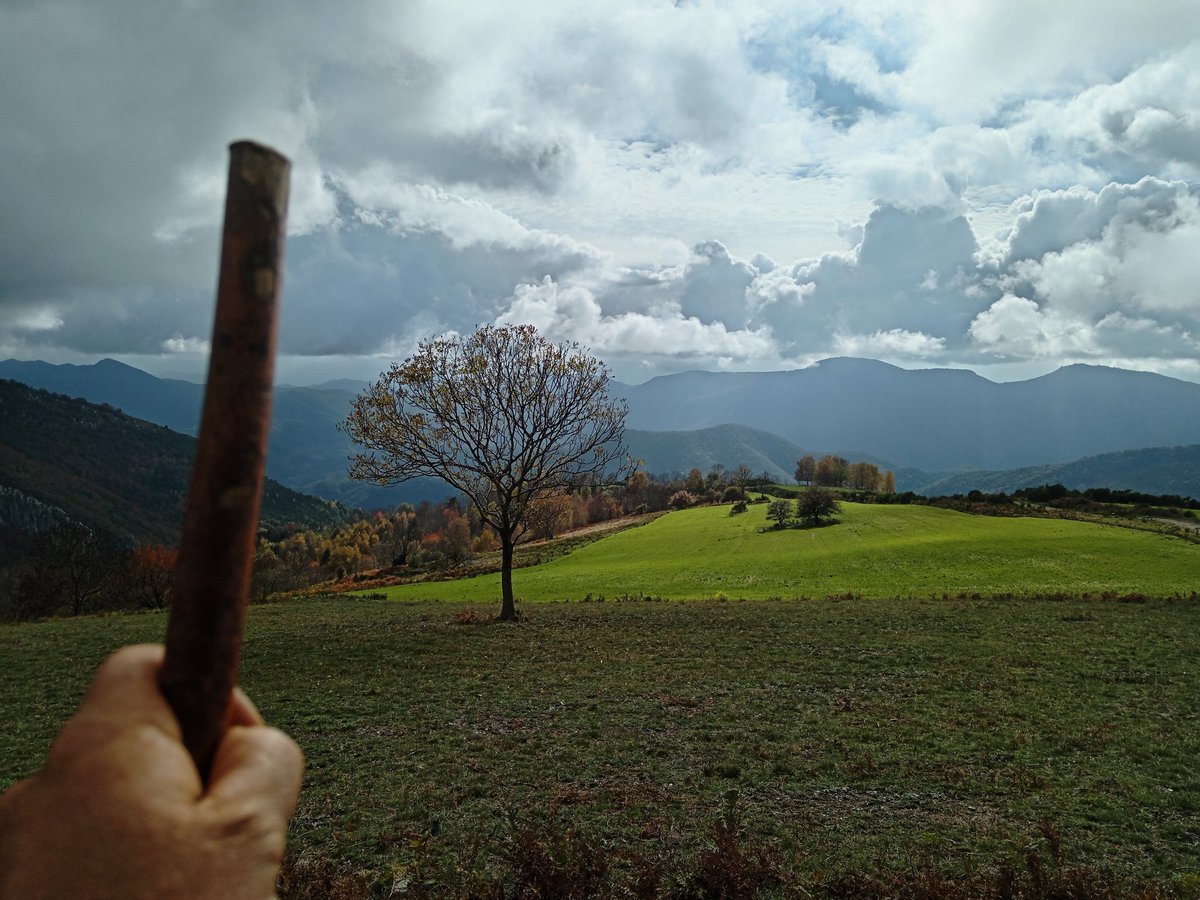 xaiecologic's tweet photo. " L'agricultura ha de ser amable amb l'entorn i amb les persones".
Hi estic del tot d'acord, però això  no és l'agricultura regenerativa ni cap concepte fashion cool de tertúlies, és la tradicional, la de tota la vida i fa segles que estem inventats.
#TradicionalismeOBarbàrie🤘 https://t.co/6y5PmD5sbN