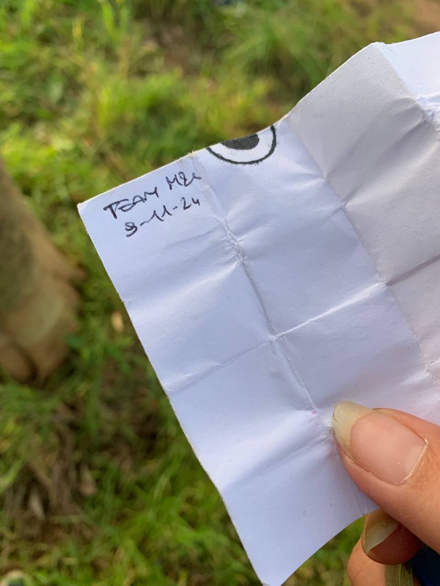 IlmondodiMauro&Lisi tweet media