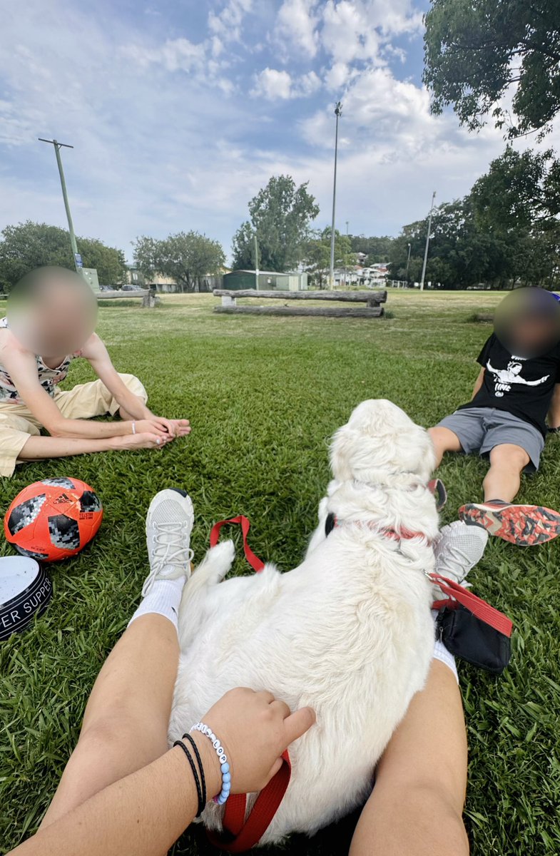 jaxxie ✨📸 tweet media