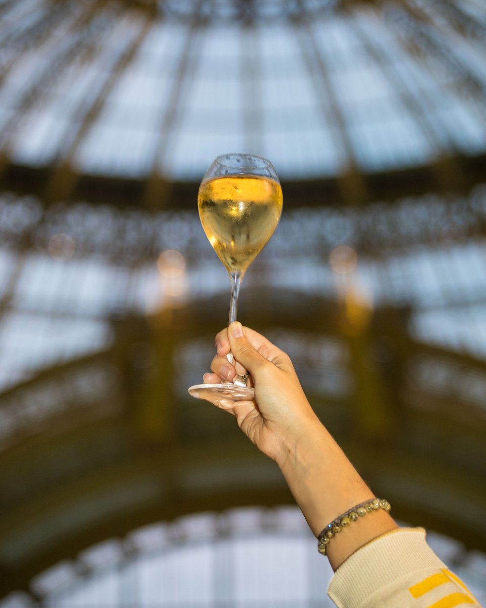 ParisPhotoFair's tweet photo. [THANK YOU]

🥂 Thank you to everyone who attended Paris Photo 2024 at the Grand Palais and made it so special. 
Our 240 exhibitors, our curators, our partners and to our Paris Photo team.
See you next year!
📷: Gregoire Grange

#parisphotofair https://t.co/wJ3IhdkGjp