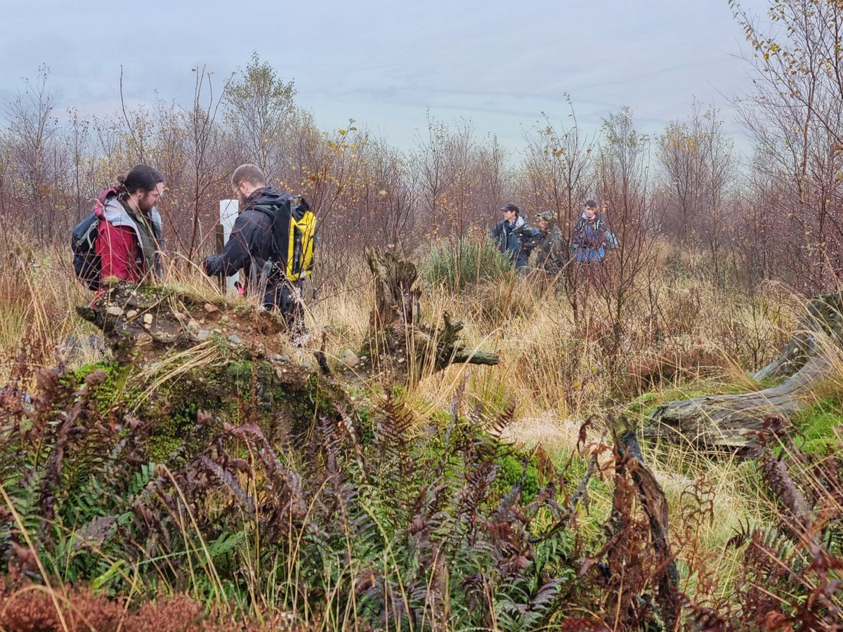 Restoring Hardknott Forest tweet media