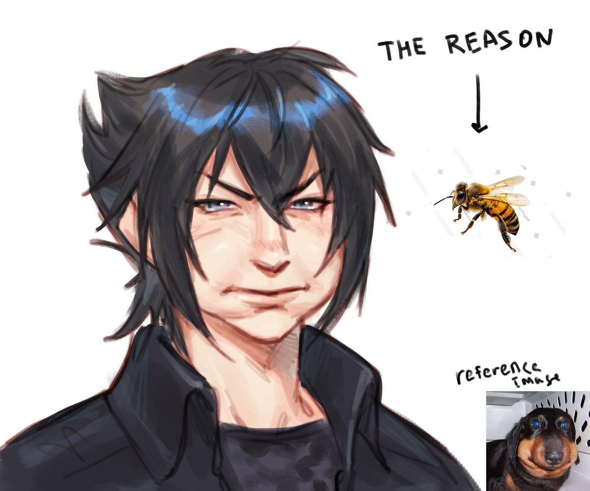 Noctis got stung by a bee 
I think like i need to share this image with the world