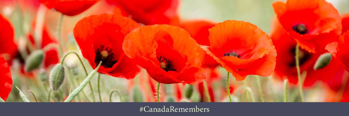 November 11 is Remembrance Day - the most unforgettable day of the year. We honour those who served and continue to serve our country in times of war, military conflict and peace #CanadaRemembers ⁦⁦<a href="/GGCanada/">Governor General of Canada</a>⁩ ⁦<a href="/GovNL/">Government of Newfoundland & Labrador</a>⁩