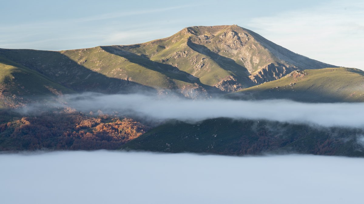 rutinasvarias.com tweet media