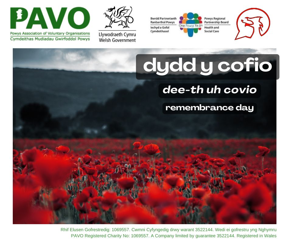 Dydd y Cofio
Remembrance day
#ycynnigrhagweithiolpowys #theactiveofferpowys #dysgucymraeg #siaradcymraeg #powys
