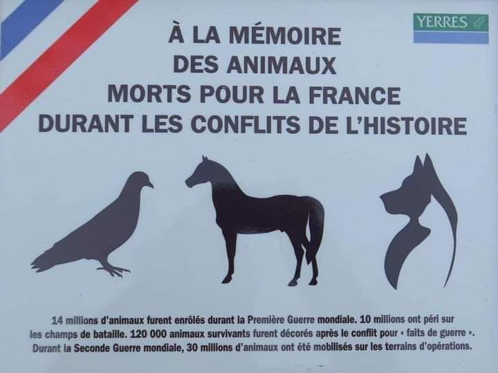 AdeaClaude's tweet photo. 11 Novembre HOMMAGE à tous ces animaux qui ont été enrôlés durant la Première Guerre Mondiale et à tous ces soldats morts aux combats. https://t.co/EJPYed2dIa