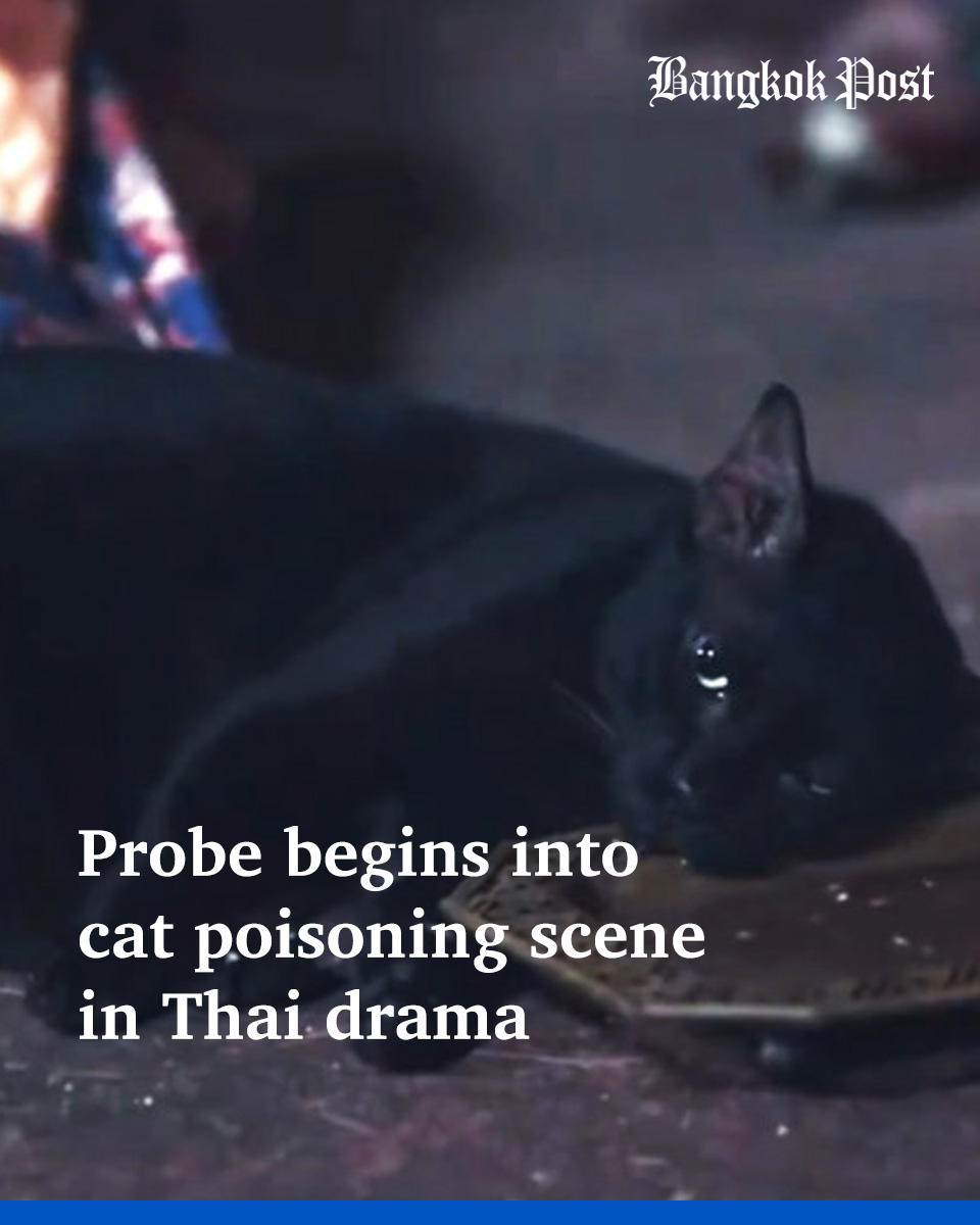 Bangkok Post tweet media
