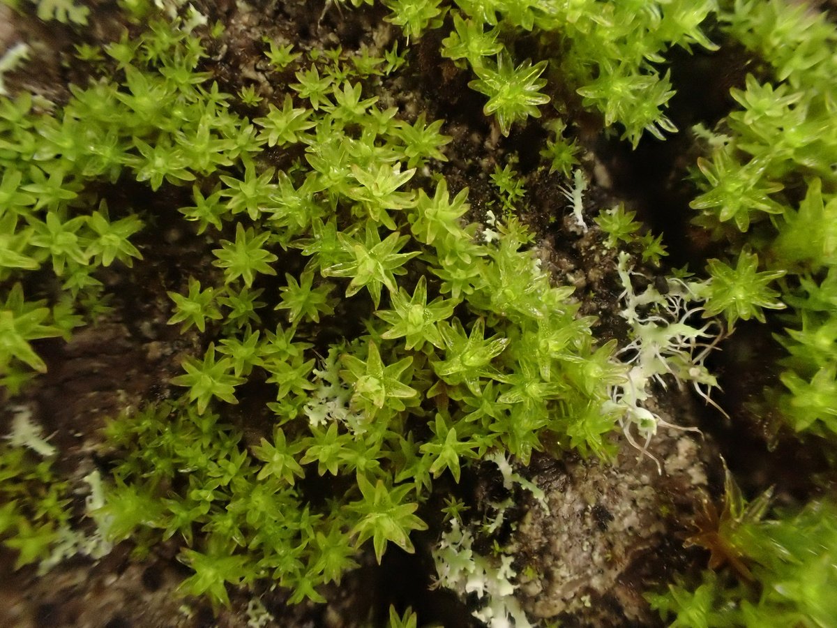 Gus Routledge tweet media