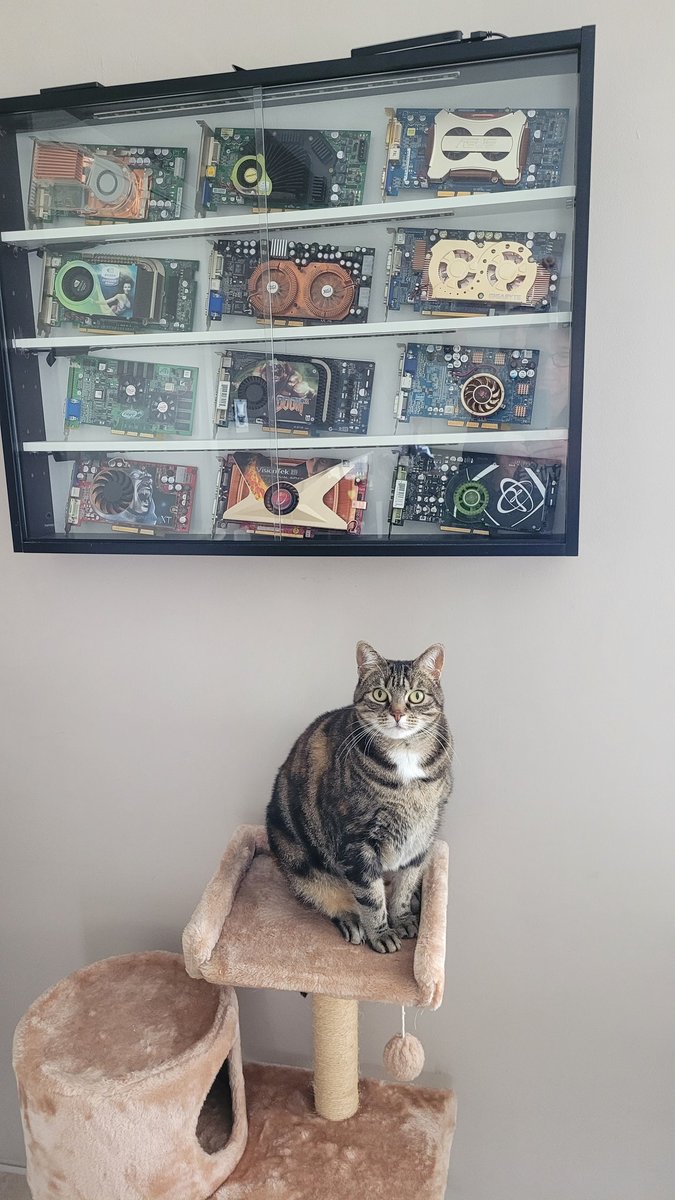Retro_GPUs's tweet photo. The guardian 😆 https://t.co/SSnOMl4XUH