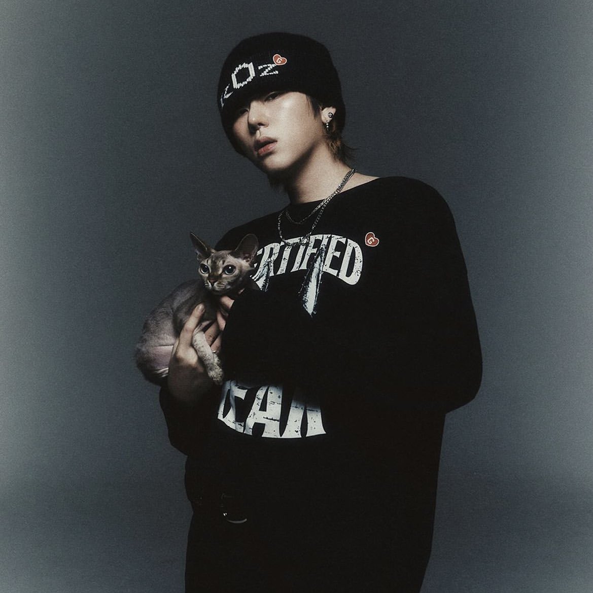 zineco914's tweet photo. 아니 왜 고양이 두마리 있어 https://t.co/WNjf3e0PH5