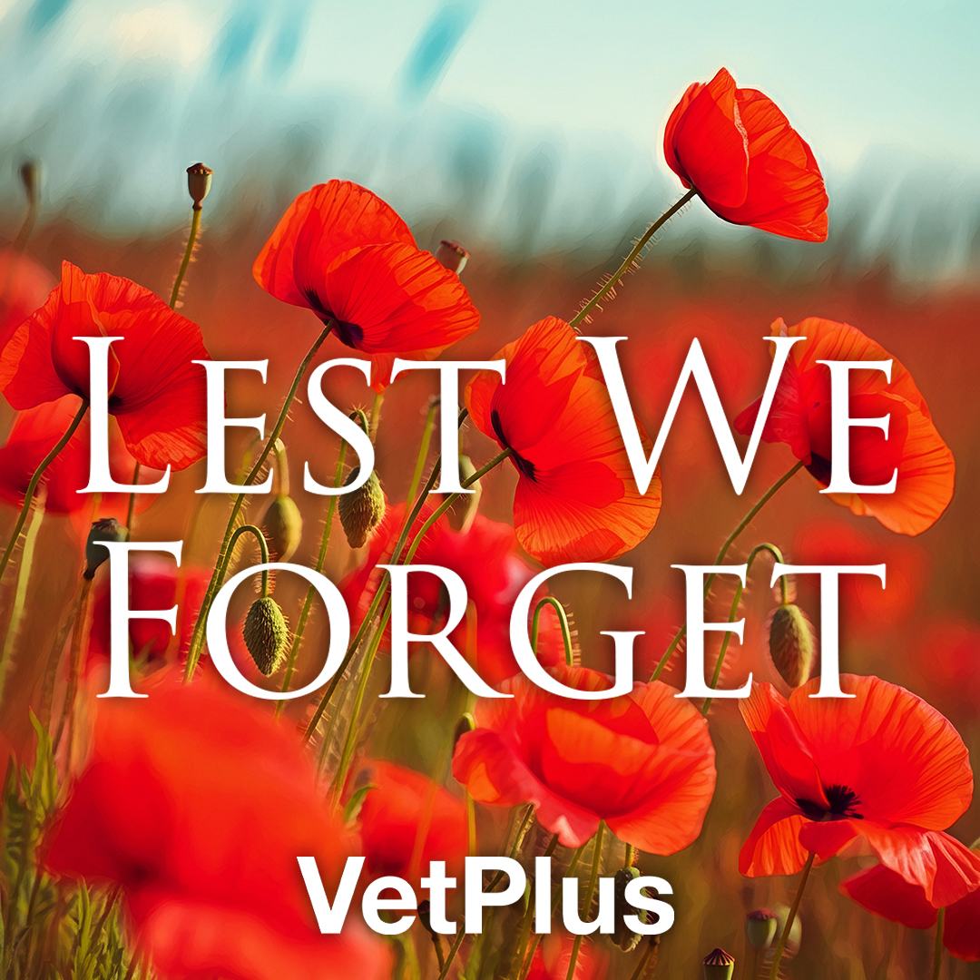 Today we honour and remember those who gave up their freedom so that we can have ours.

They shall grow not old, as we that are left grow old. Age shall not weary them, or the years condemn. At the going down of the sun, and in the morning.

We will remember them.