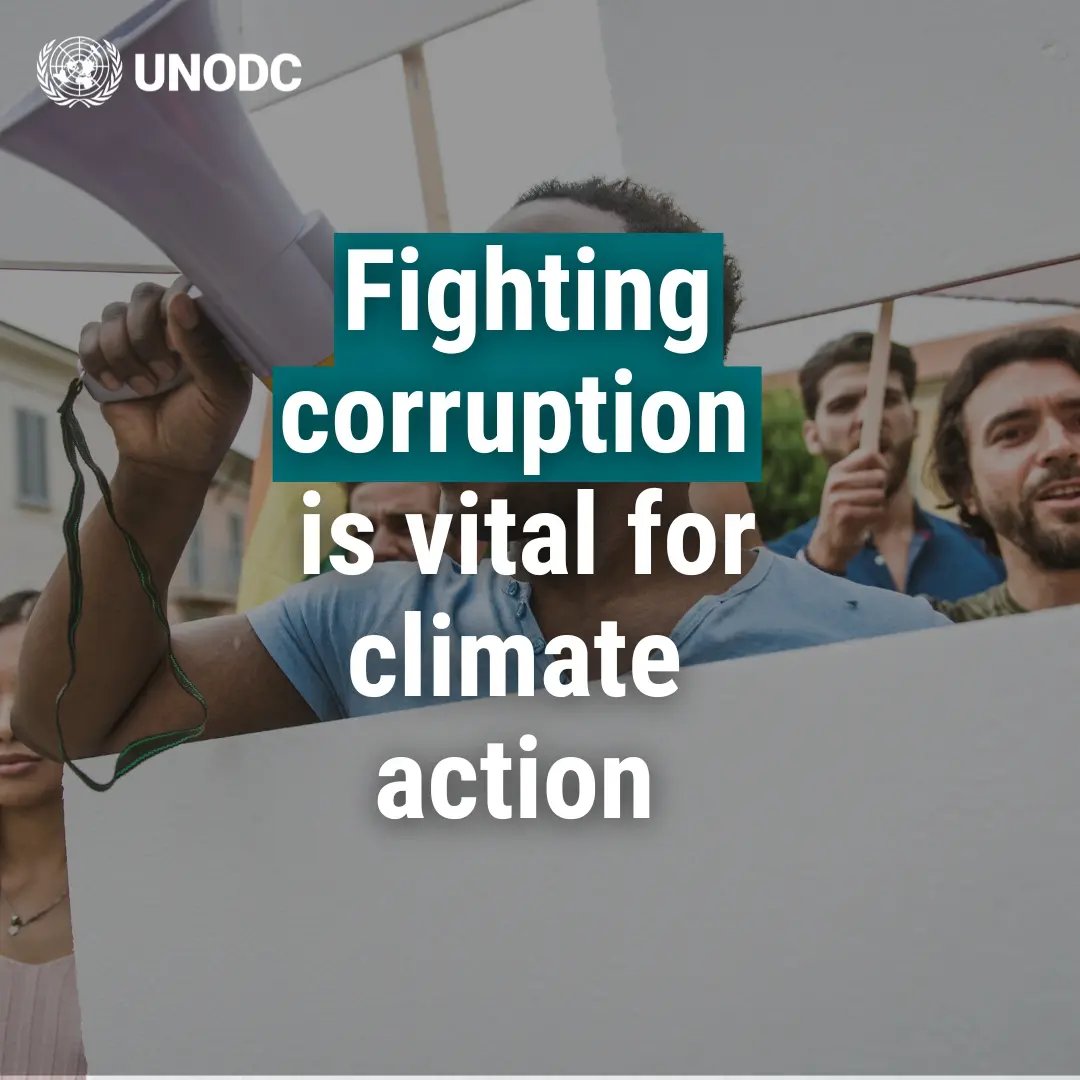 UNODC Anti-Corruption and Financial Crime tweet media