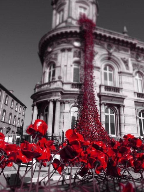 We Will Remember Them...