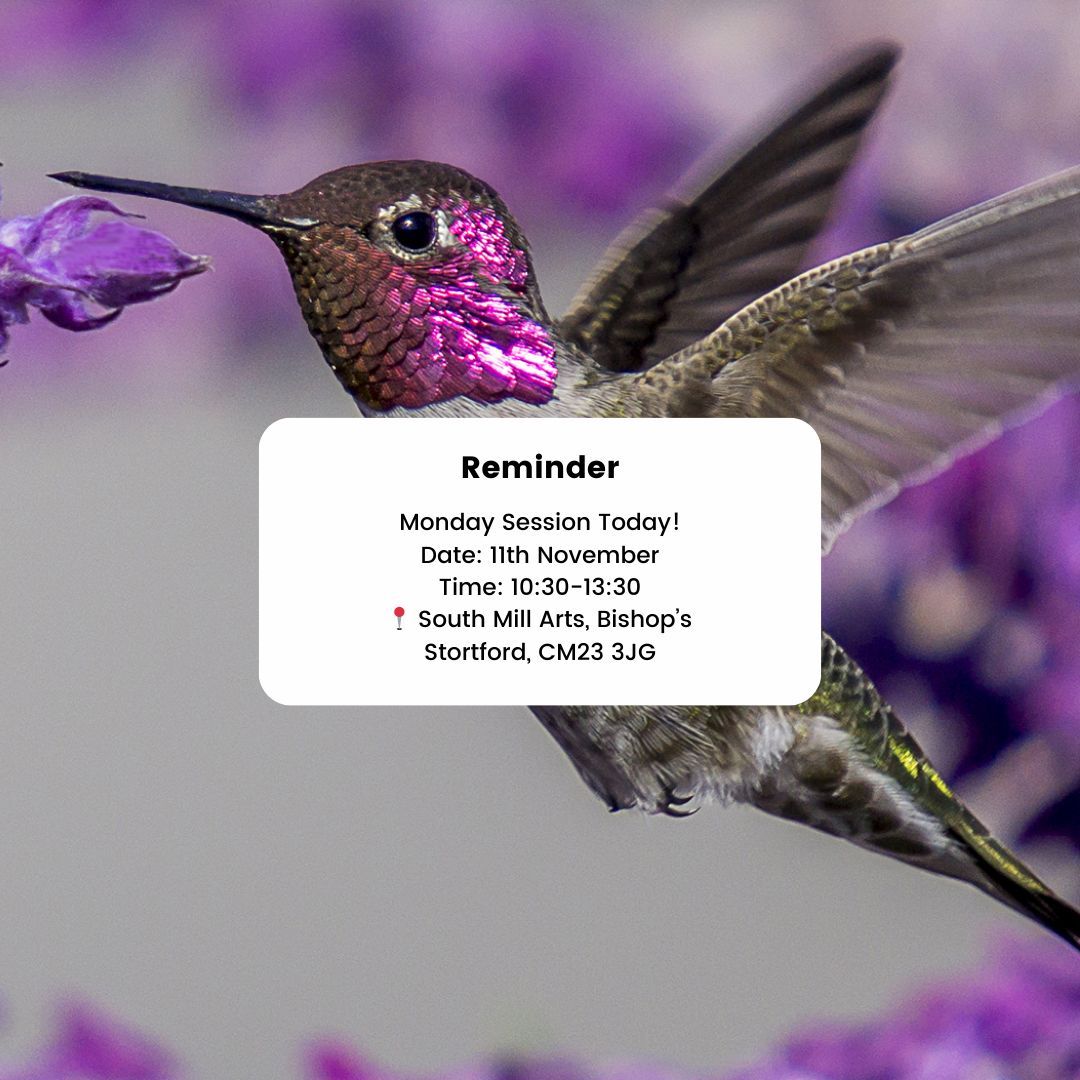 HummingbirdCSG's tweet image. Our Hummingbird Cancer Support Group session begins in just 30 minutes at South Mill Arts, Bishop’s Stortford! Join us from 10:30 to 13:30 for a supportive, welcoming space where you can connect, relax, and recharge.

#HummingbirdSupport #CancerSupport #MondaySession