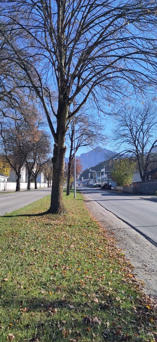 mjoppich's tweet photo. On my low-carbon-footprint trip to @CRC1123_Athero retreat in Grainau with a short stop in beautiful Füssen! https://t.co/p5nkG4ltUq