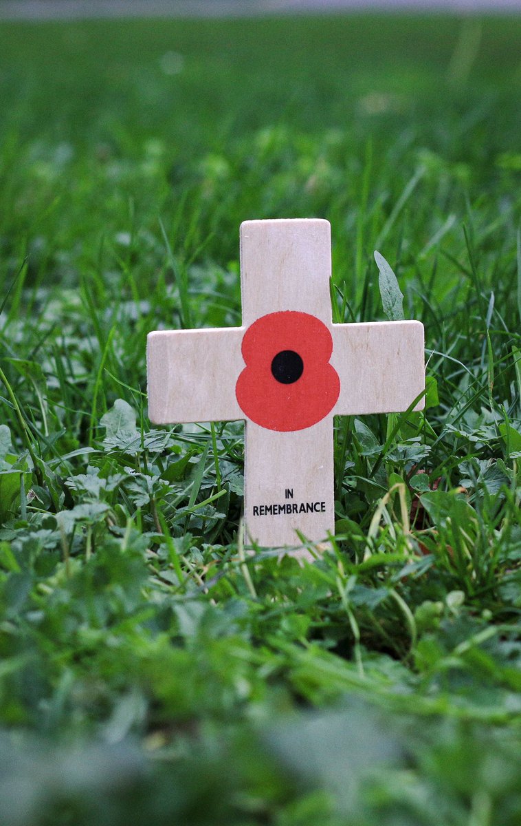 “When you go home, tell them of us and say: for your tomorrow, we gave our today.” 🇬🇧🌹

<a href="/PoppyLegion/">Royal British Legion</a> #RemembranceDay #LestWeForget #EduTwitter