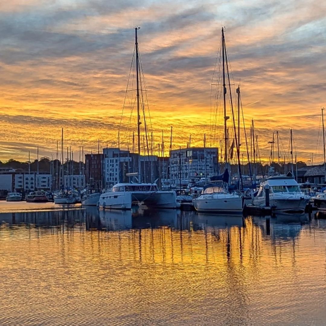 The ’swich tweet media